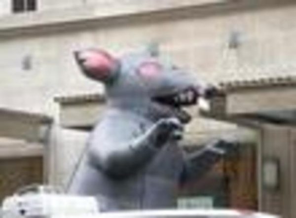D.C.’s Rat Race | DCist