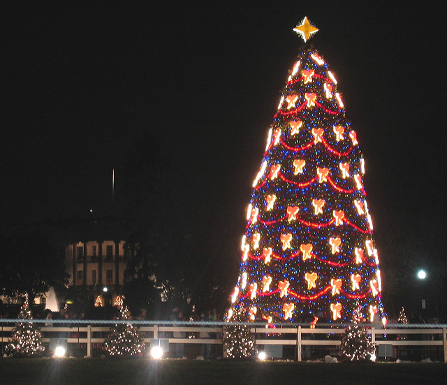 National Christmas Tree Lighting Lottery Opens On Thursday DCist