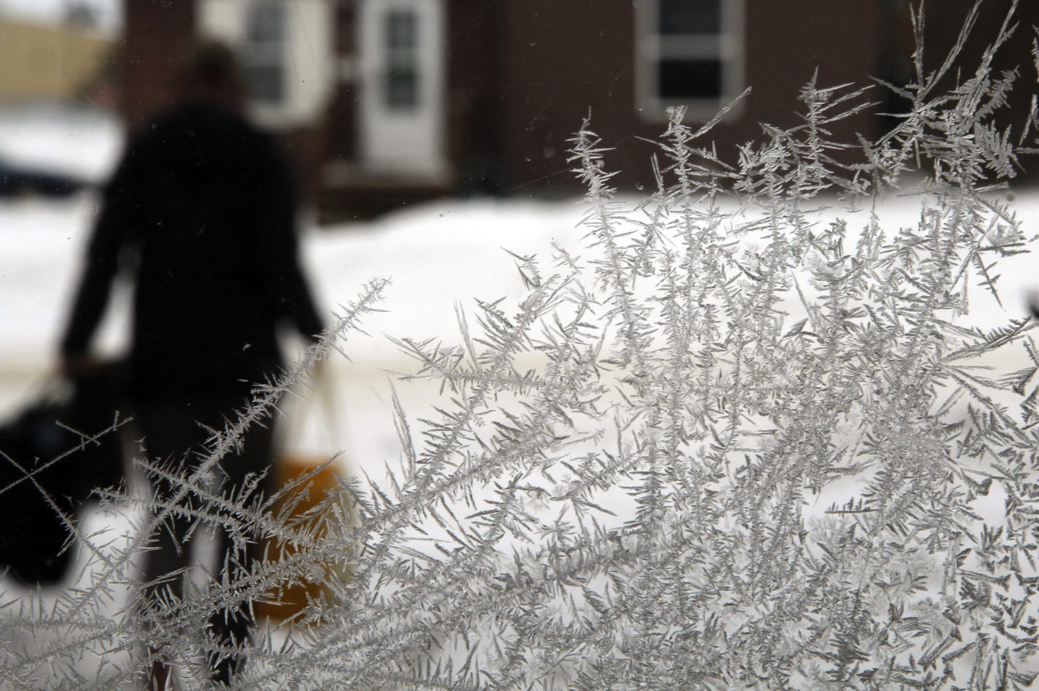 DC, Montgomery County Activating Hypothermia Alerts | DCist