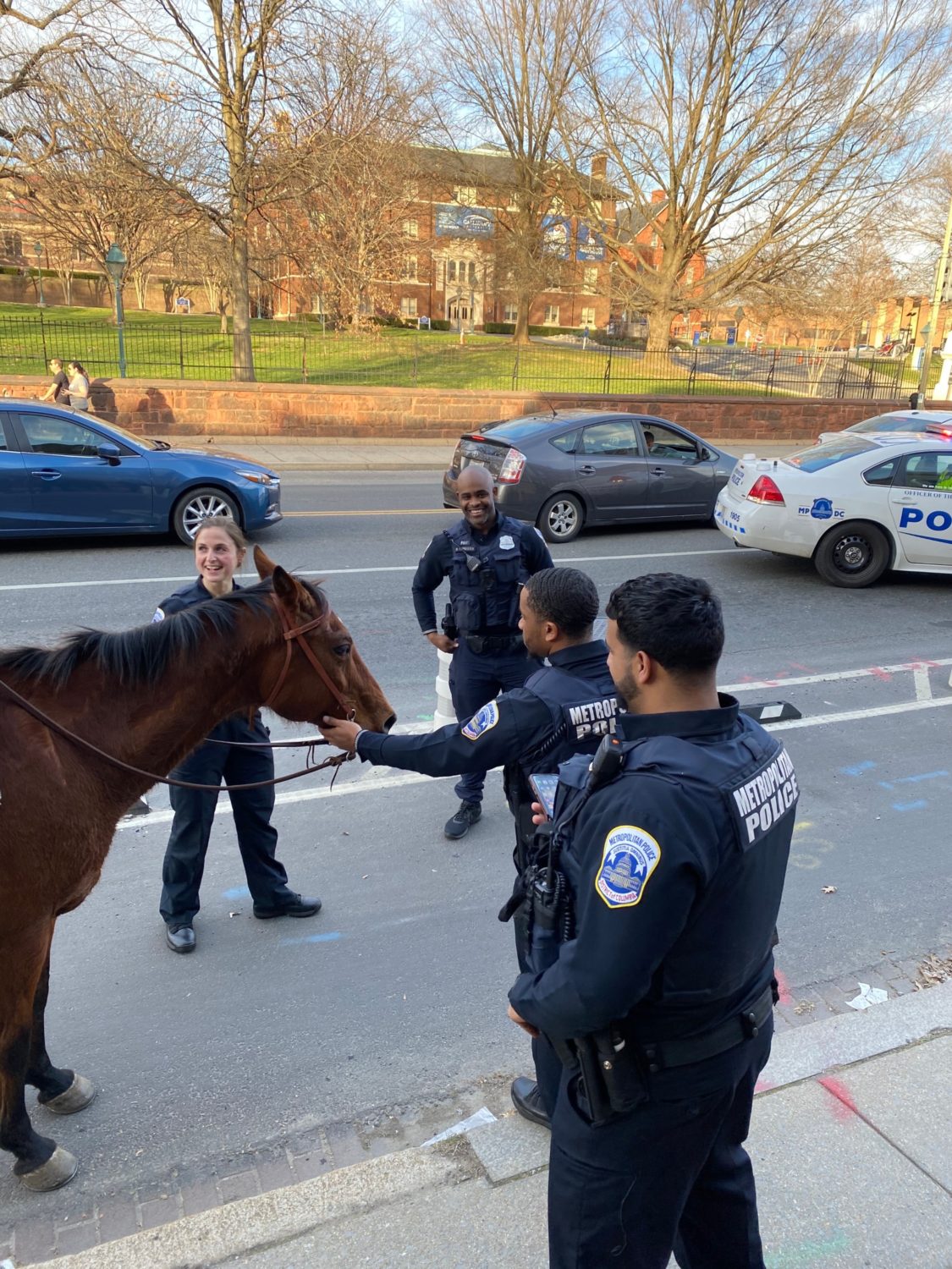 A Man Rode A Horse Through Northeast D.C. During Rush Hour. He Says He ...