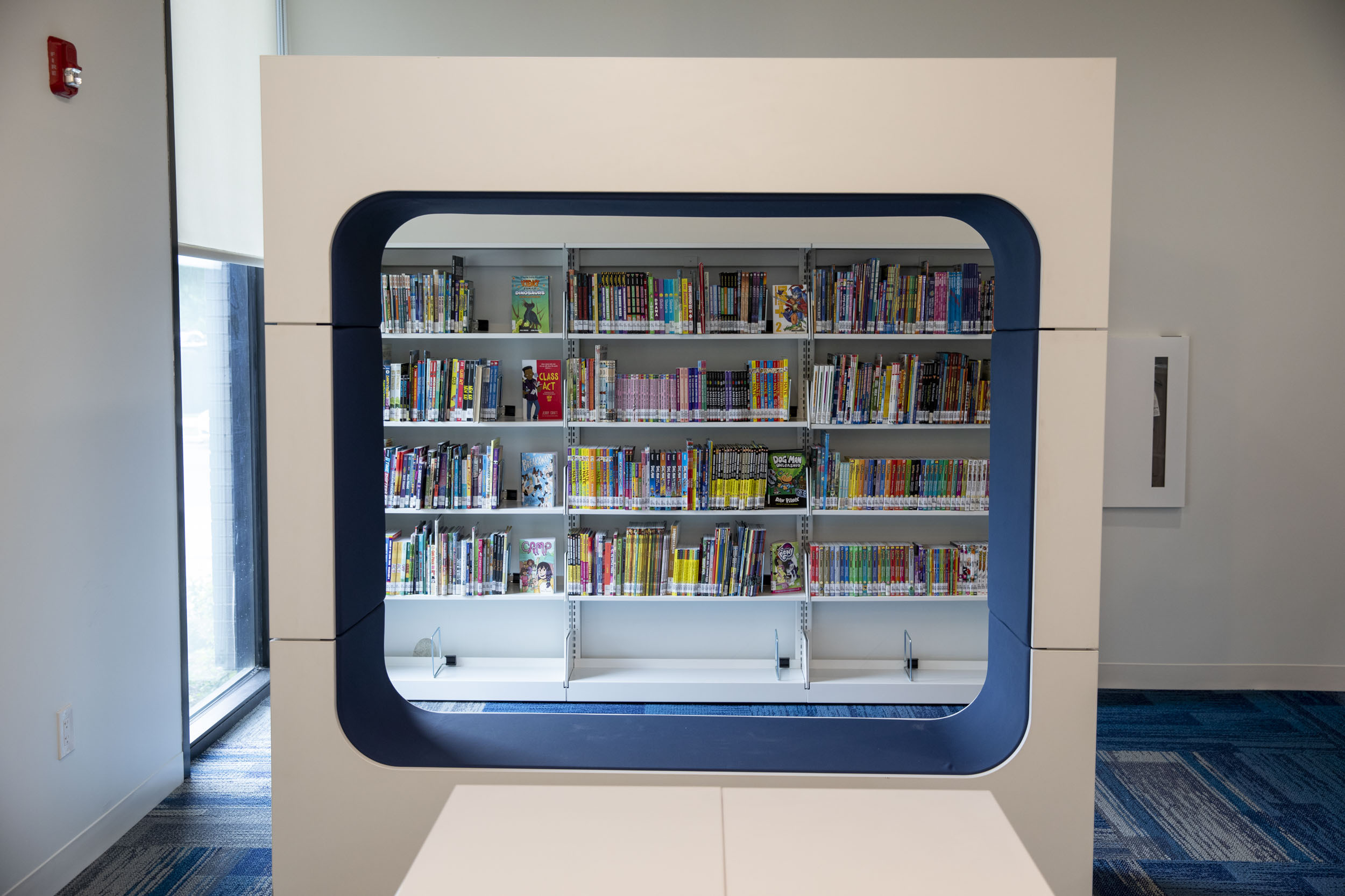 DC Public Library To Allow Indoor Browsing And Seating In June DCist