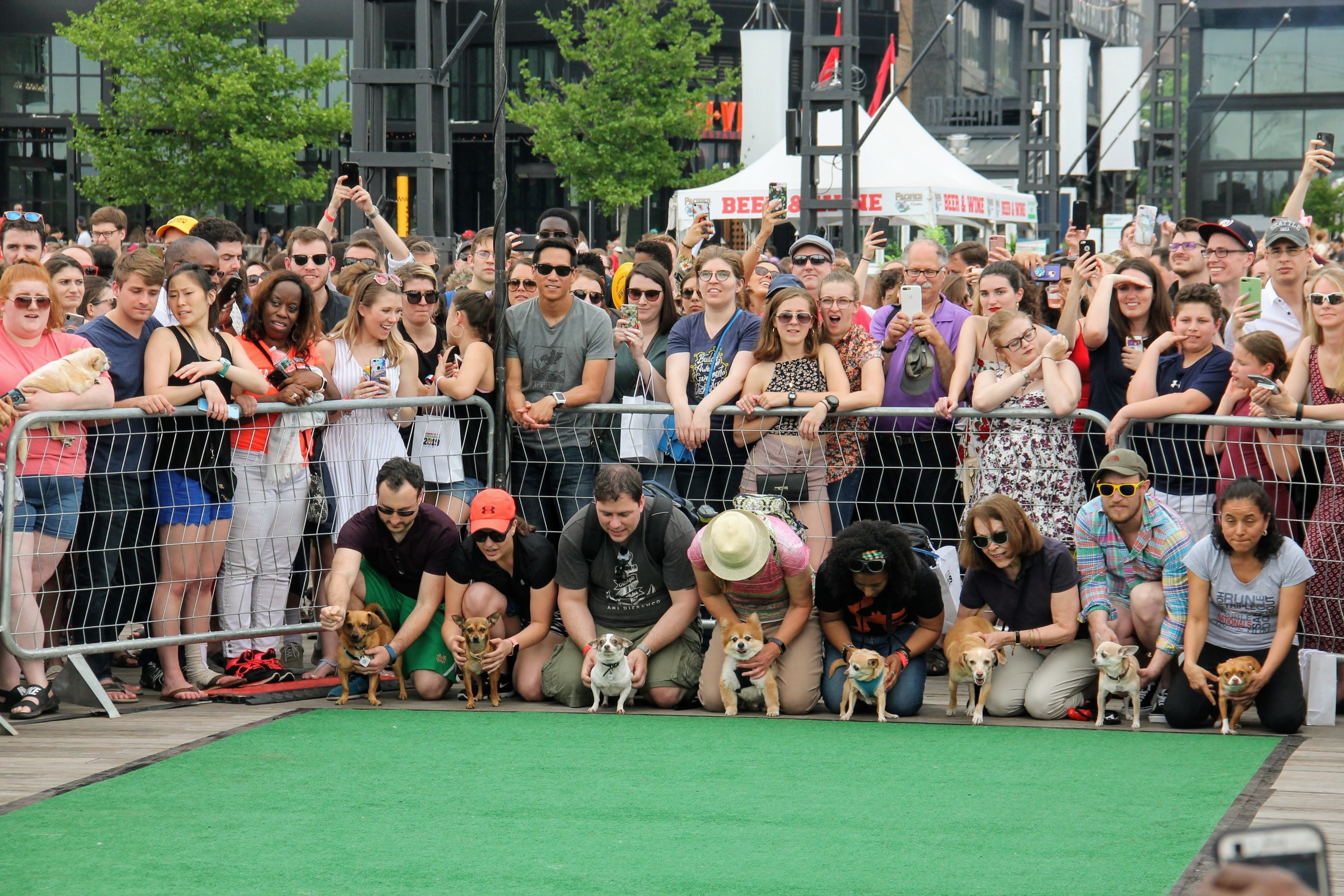 Photo Courtesy of Wharf Community Association. 