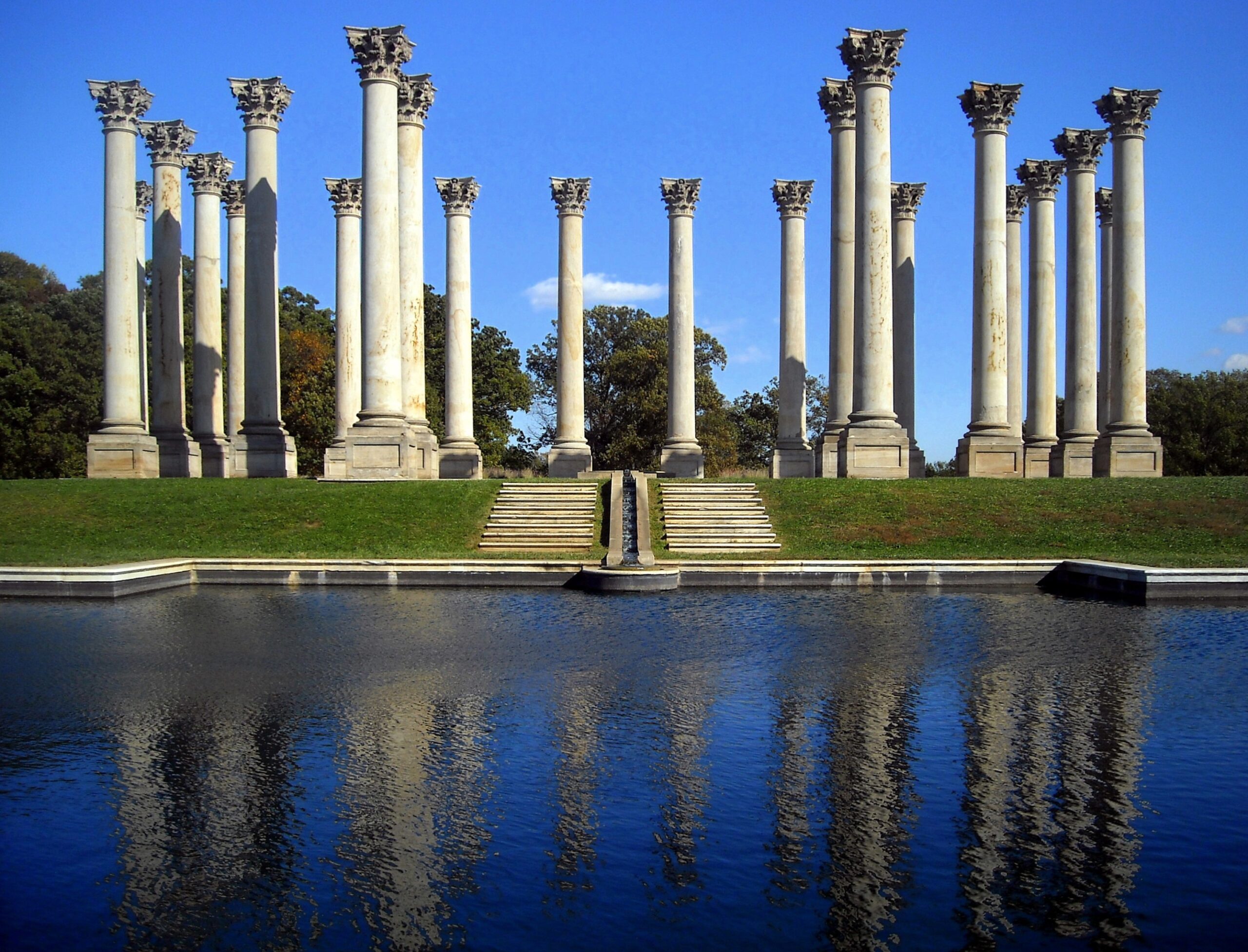 10 Virtual And IRL Things To Do Around DC This Weekend DCist
