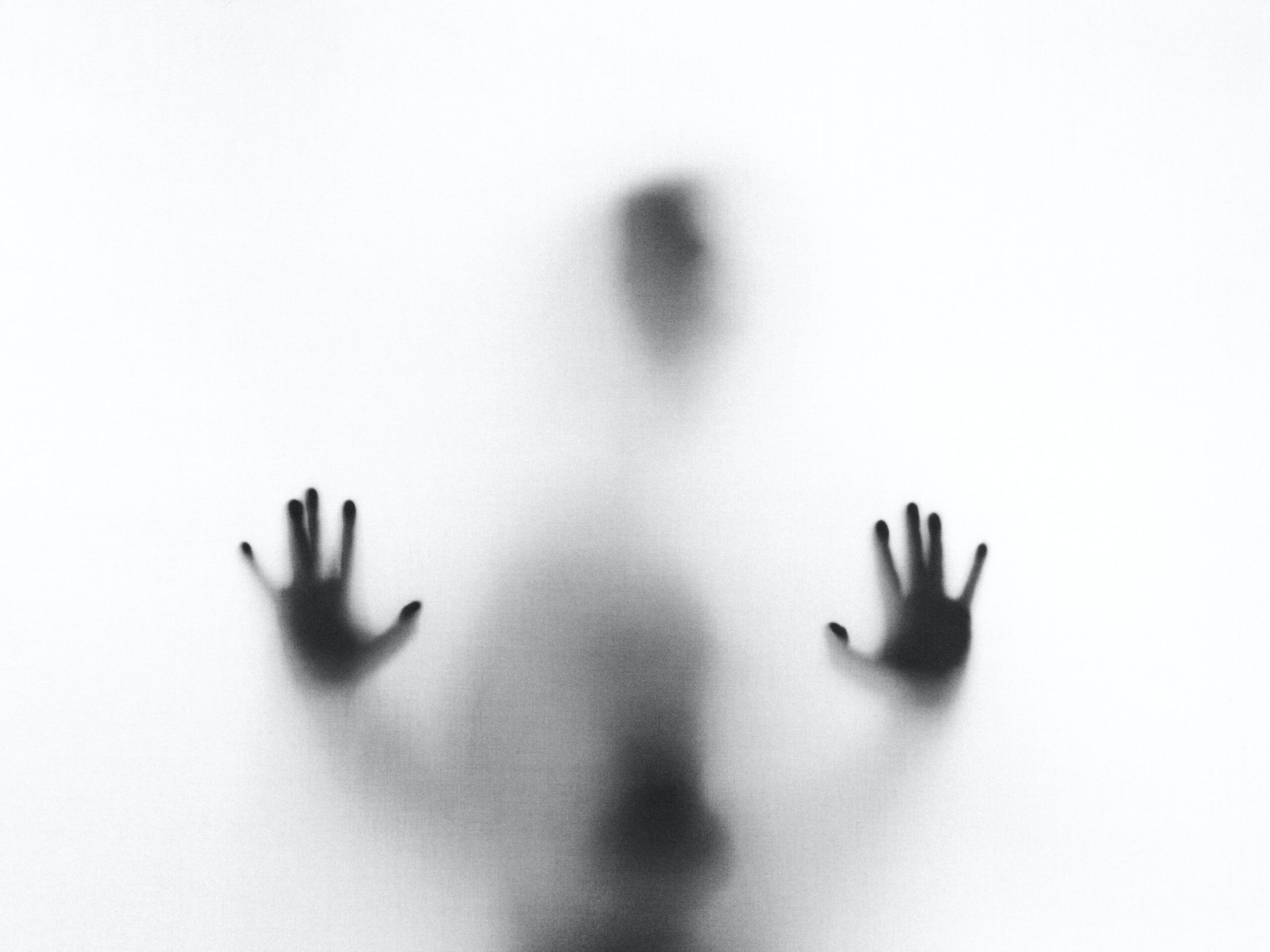 Stefano Pollio, Unsplash