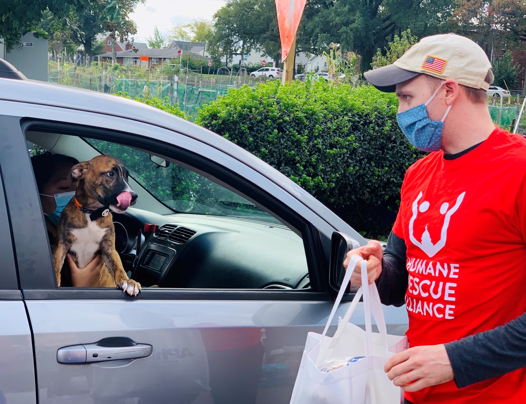 Humane Rescue Alliance