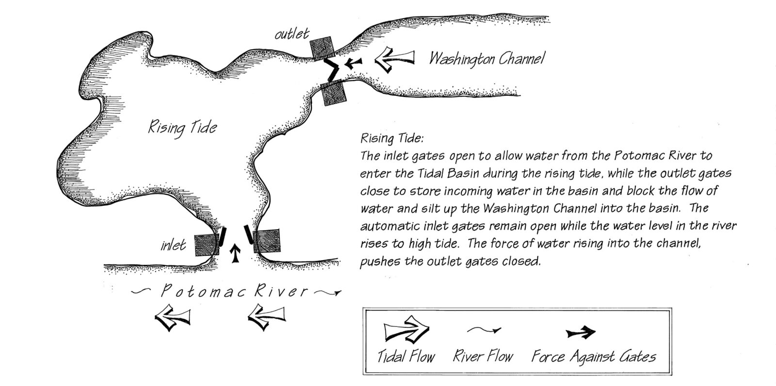 Century-Old Tidal Basin Gates To Get Upgrade | DCist