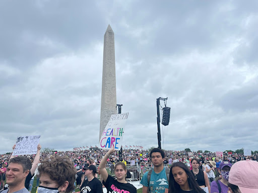 Photo of a crowd of protestors fillling the frame. The Washington Monument is visible among them.