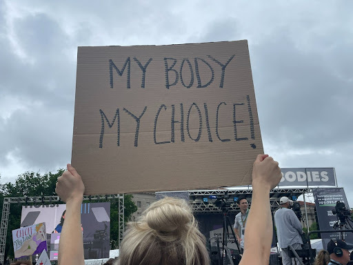 Photo of a person at the abortion rally holding up a cardboard sign that says "my body, my choice" in hand lettering.