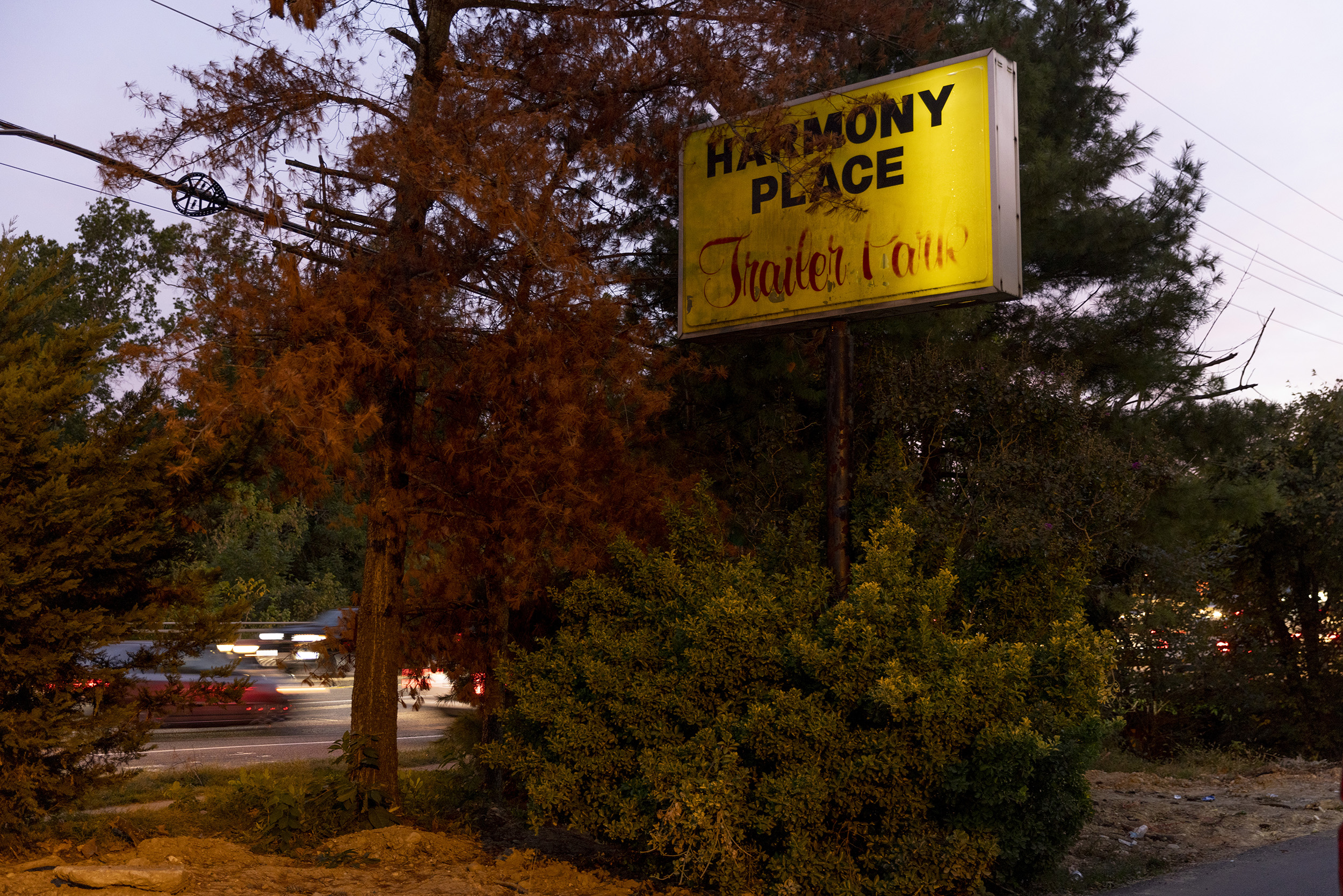 Photo of the "Harmony Place Trailer Park" sign, partially blocked by an overgrown tree