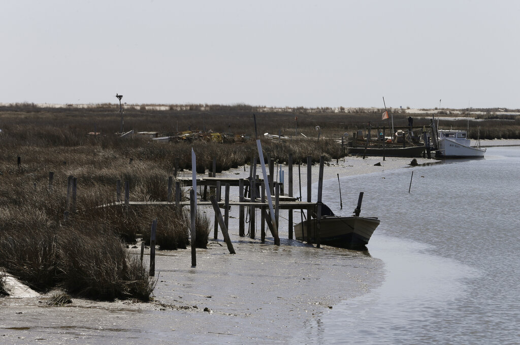 Climate Change And Sprawl Slow Chesapeake Cleanup - DCist