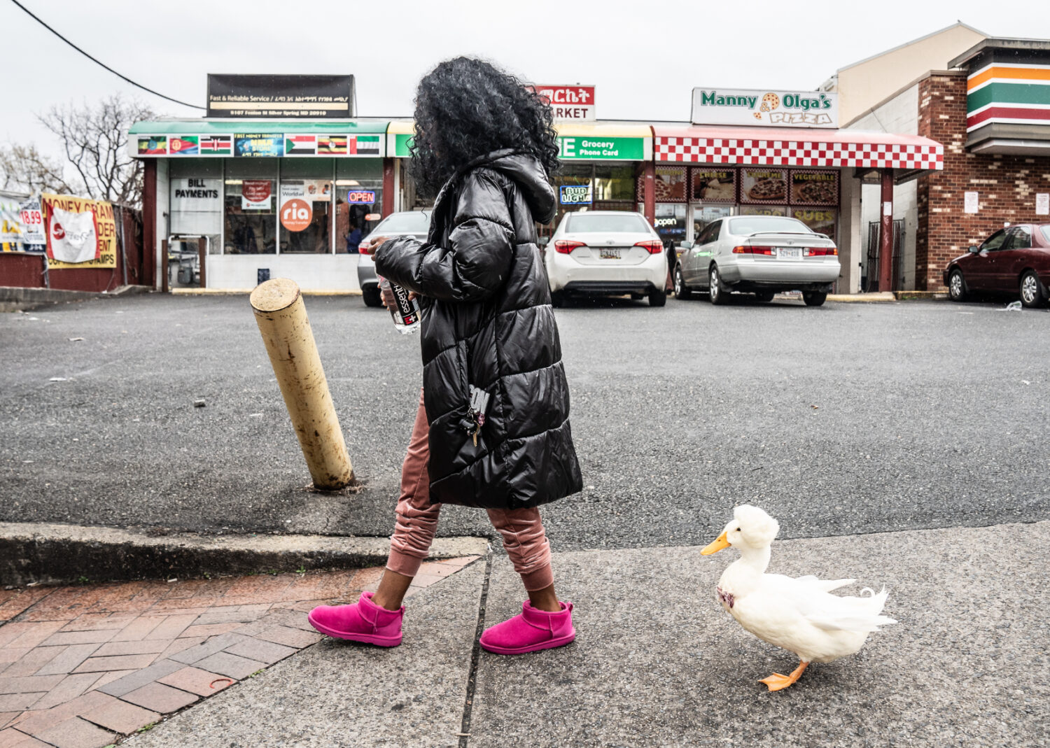 Duck Banck Who Is Banks The Duck? We’re Glad You Asked | DCist