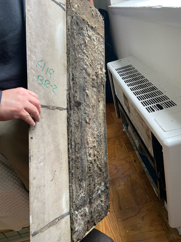 Foto de un panel lateral retirado de la unidad de calefacción, una capa de suciedad cubre el interior.