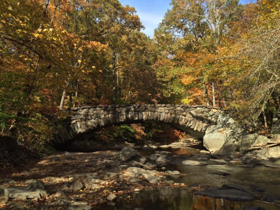 September Heat Could Impact The D.C. Region's Fall Colors