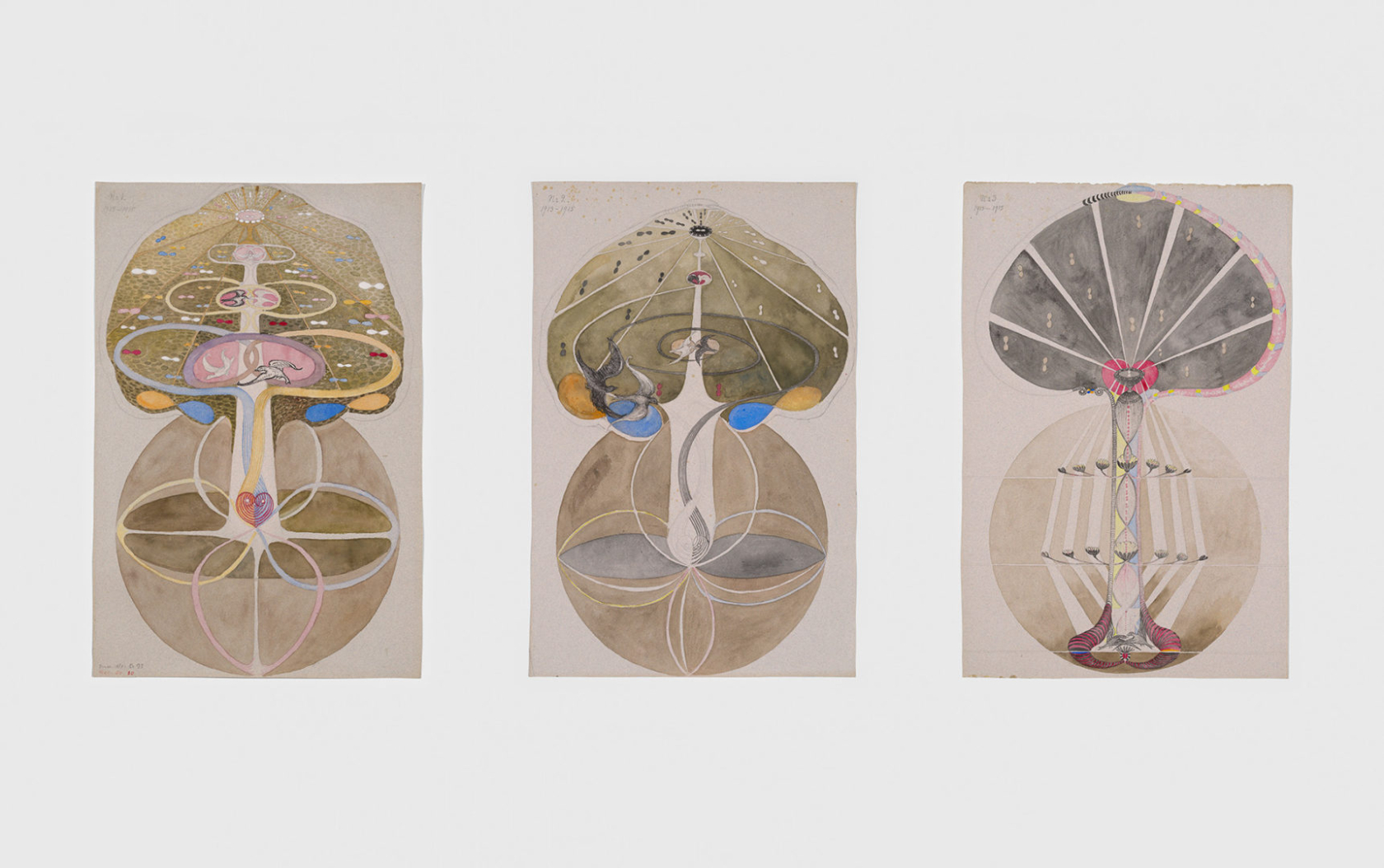 Hilma af KlintTree of Knowledge (detail), 1913-1915 watercolor, gouache, graphite, and ink on paper