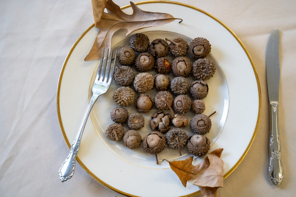 This Is Your Chance To Try Eating Acorns. They're … Not Bad | DCist