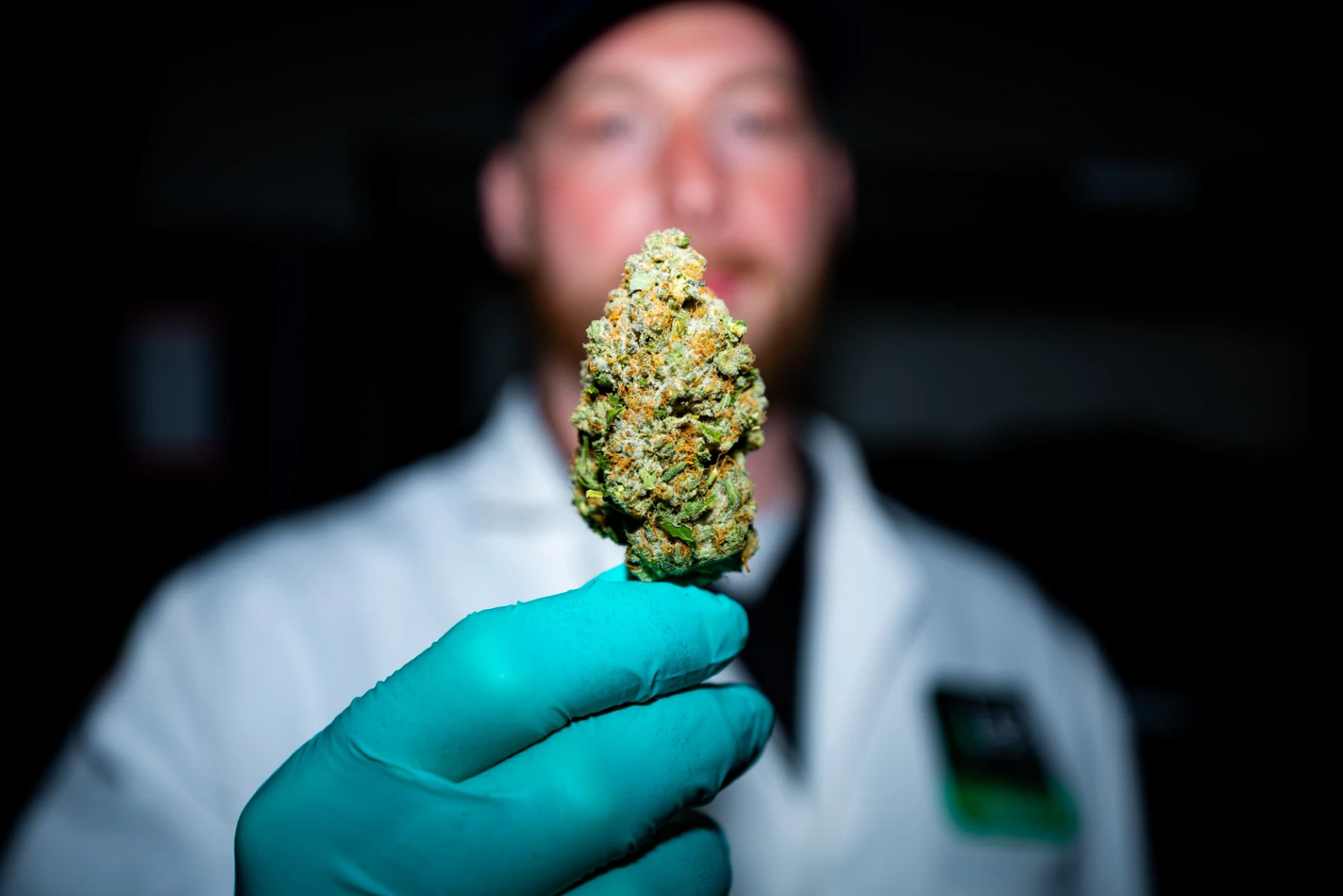 Photo of a person (blurred in the background), wearing gloves and a white coat, holding up the piece of cannabis (in focus).